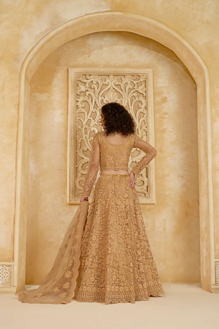 Beige Color Net With Cording And Thread Work With Stone Work Lehenga Choli
