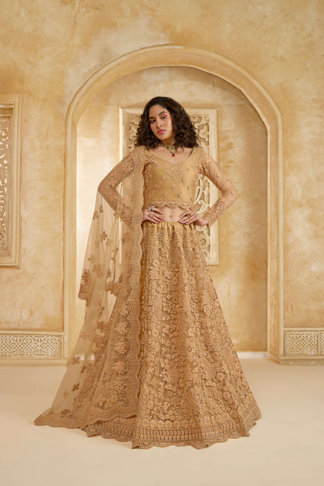 Beige Color Net With Cording And Thread Work With Stone Work Lehenga Choli