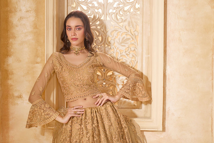 Beige Color Net With Cording And Thread Work With Stone Work Lehenga Choli
