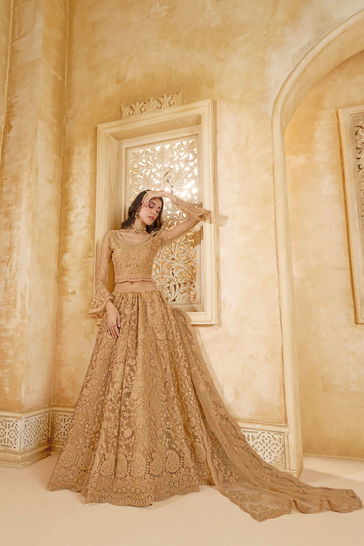 Beige Color Net With Cording And Thread Work With Stone Work Lehenga Choli