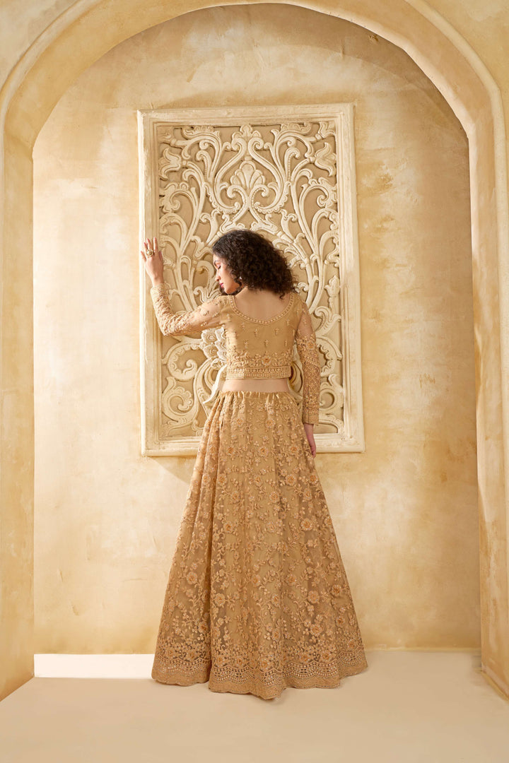 Beige Color Net With Cording And Thread Work With Stone Work Lehenga Choli