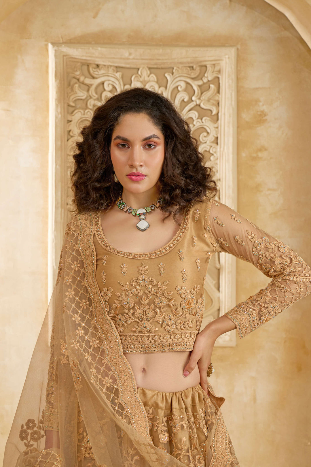 Beige Color Net With Cording And Thread Work With Stone Work Lehenga Choli