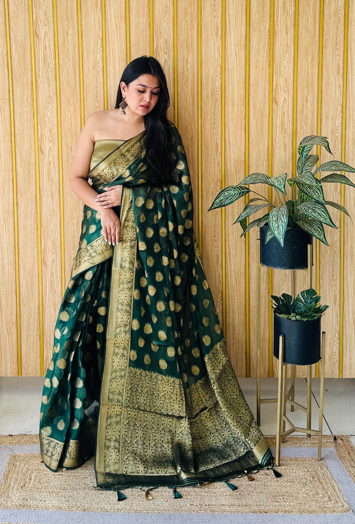 Green Sitara Soft Gimichu Silk Saree And Jari Weaving Border With Exclusive Jari Rich Pallu